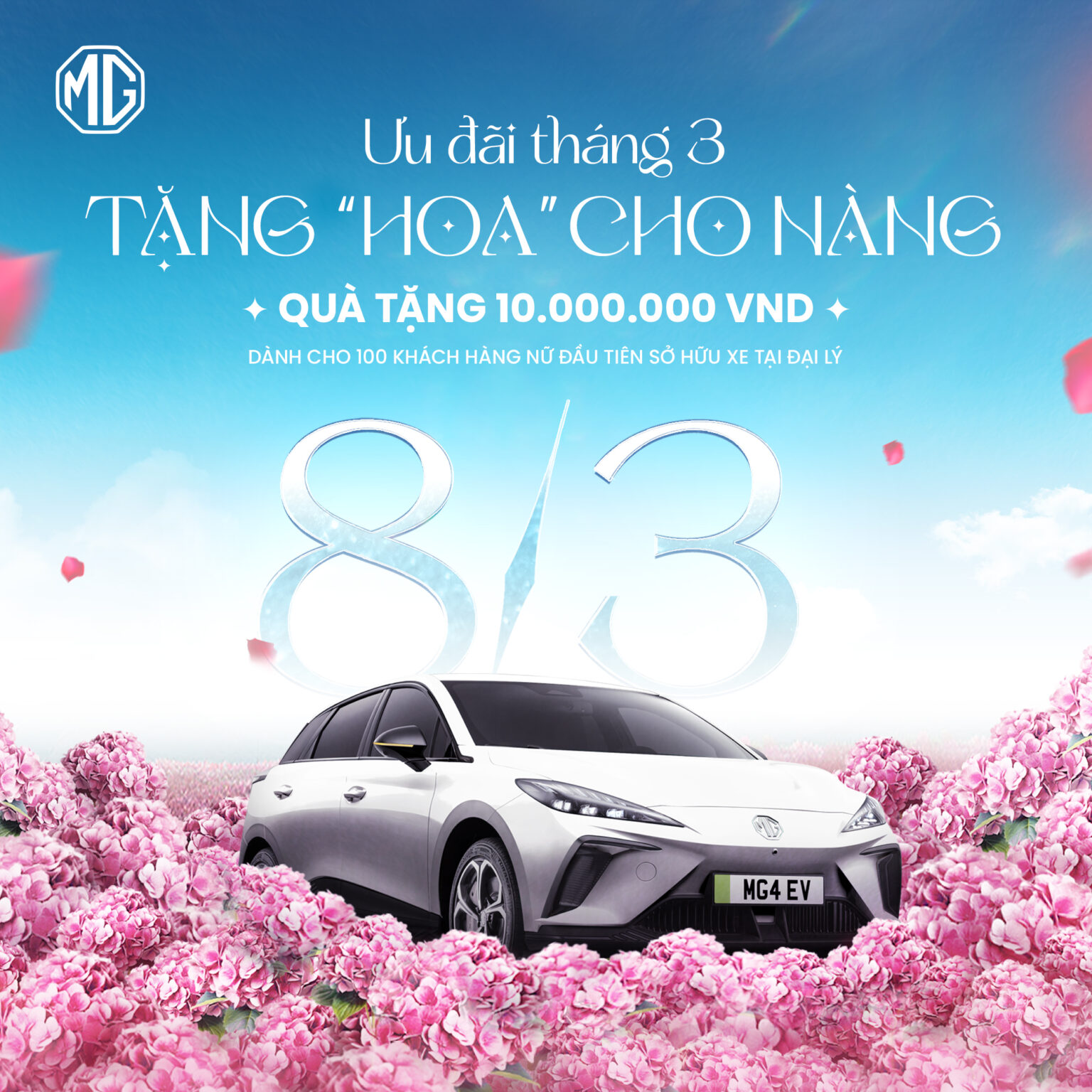 tang hoa cho nang nhan ngay 8/3 tang hoa cho nang nhan ngay 8/3