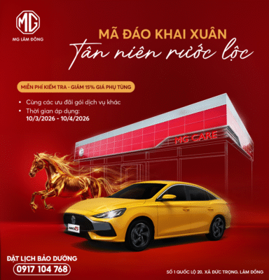 chuong-trinh-cham-soc-khach-hang-tai-mg-lam-dong
